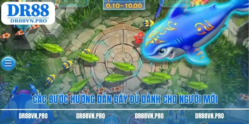 Các bước hướng dẫn đầy đủ dành cho người mới