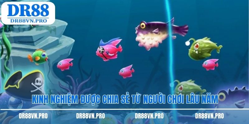 Kinh nghiệm được chia sẻ từ người chơi lâu năm