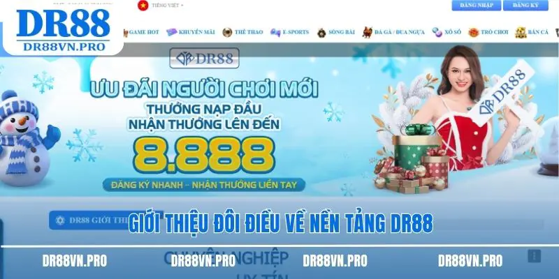 Giới thiệu đôi điều về nền tảng DR88