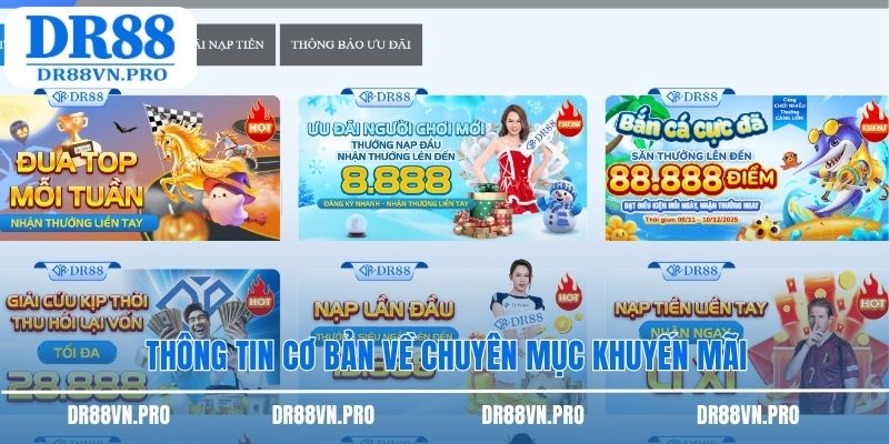 Thông tin cơ bản về chuyên mục khuyến mãi
