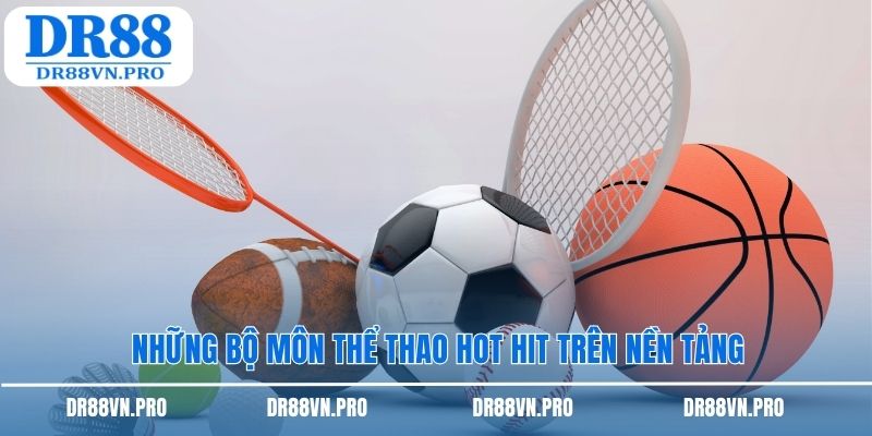 Những bộ môn thể thao hot hit trên nền tảng
