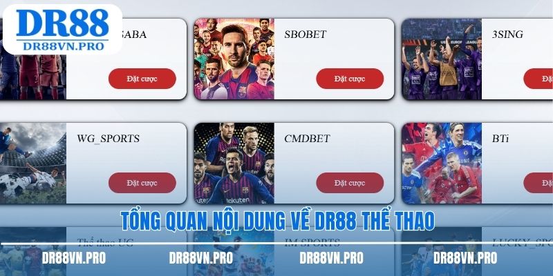 Tổng quan nội dung về DR88 thể thao