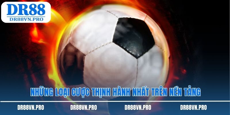 Những loại cược thịnh hành nhất trên nền tảng