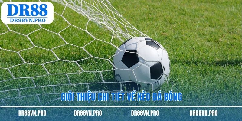Giới thiệu chi tiết về kèo đá bóng