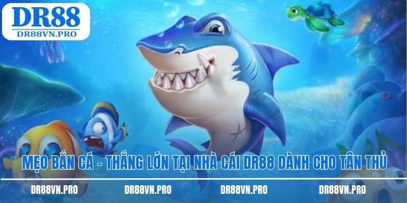 Mẹo bắn cá nhà cái dr88