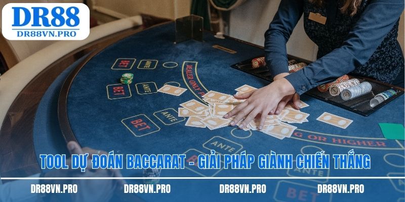 Tool dự đoán baccarat DR88