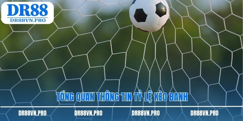 Tổng quan thông tin tỷ lệ kèo banh