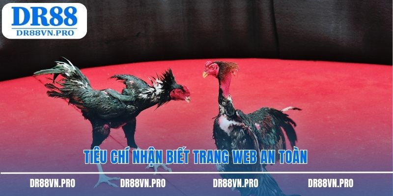 Tiêu chí nhận biết trang web an toàn